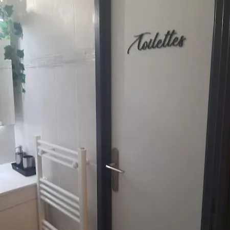 Appt Cosy Entier Avec Piscine Apartment Toulouse Exterior photo