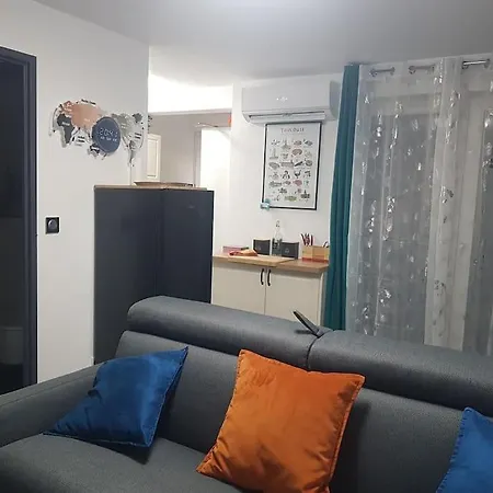 Appt Cosy Entier Avec Piscine Apartment Toulouse Exterior photo