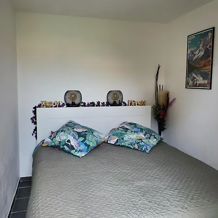 Appt Cosy Entier Avec Piscine Apartment Toulouse Exterior photo