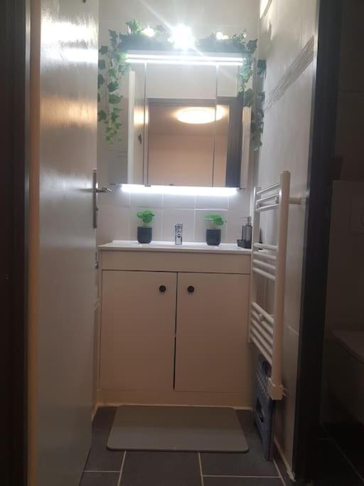 Appt Cosy Entier Avec Piscine Appartement Toulouse