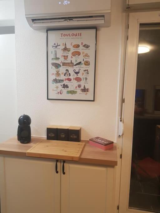 Appt Cosy Entier Avec Piscine Toulouse