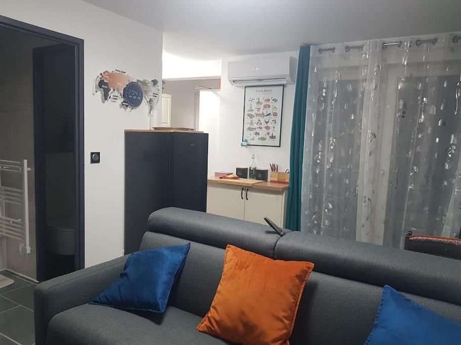 Apartment Appt Cosy Entier Avec Piscine Toulouse